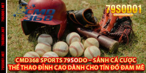 CMD368 Sports 79Sodo – Sảnh Cá Cược Thể Thao Đỉnh Cao Dành Cho Tín Đồ Đam Mê